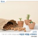 구루이엔티 네이버블로그