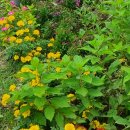 용비쉼터 이미지