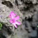 나도유튜브크리에이터 이미지