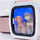 주식회사 하이 이미지