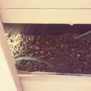 양식농장 이미지