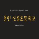 용인신릉초등학교 이미지