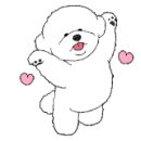 뭉구 애견 이미지