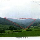 정 농원 이미지