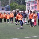 황지중앙초등학교 이미지