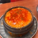 우진풍력 | 지구 관측 일지🌏 [24W] 2박 3일 제주도 태교여행