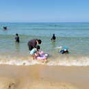 다온 | 대진해수욕장 서핑 5살 아이의 파도타기, 동해 해변 개장정보