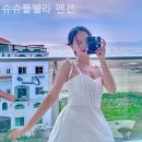 슈슈풀빌라 이미지