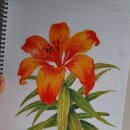 강서평생학습관 이미지