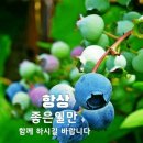 8월30일(금)서울방~[사랑은 타이밍이다] 이미지