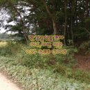 여주한강공인중개사사무소 이미지