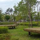 성동 서울숲 여름캠핑장 이미지