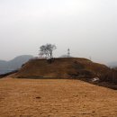 동성산성 이미지