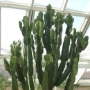 조성우렁집 이미지