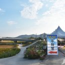 코스모스축제장 제방 이미지