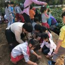 수곡어린이집 이미지