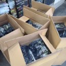 버블가이 이미지