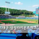 [대구여행2]대구 삼성라이온즈파크 야구장! 기아vs삼성 윤옥연할매떡볶이/야구장먹거리