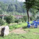 일흥민박 이미지