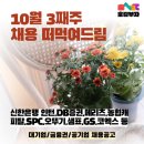 (주)드림세무경영행정 | [당장 지원해야할 채용🌰]10월3째주_대기업,금융권,보험사 추천🎑🙌/신한은행 인턴,NH캐피탈,유안타,DB,SPC...