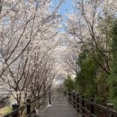 운중천(좌로) 이미지