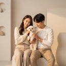 헬로우소품 | 반려견 가족사진 제대로 남긴 하루, 헬로우독 촬영 후기