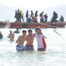 거제도국제펭귄수영축제 이미지