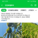 인천로열투어
