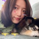 꼼이