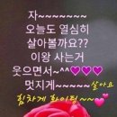 투명한 하루