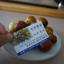 금수농장 이미지