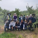 음성읍행정복지센터 이미지