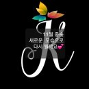바오캘리 이미지