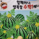 🍉좋아해를 사랑할 수박에~~~ 이미지