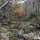 상록수산장 - 화성시 | 상록수산장