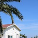 우도피아 | 우도 펜션 우도피아 - 이국적인 휴식처