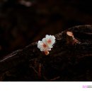 충렬사 티스토리