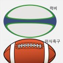 캐롬필드 이미지