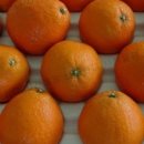 강부자 농장 이미지