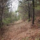 신점 선생 묘 이미지