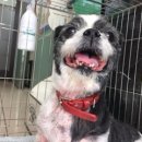 한민동물병원 이미지