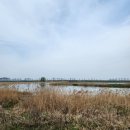 만경강길 4코스 이미지