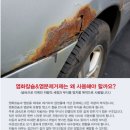 고압스팀손세차장 이미지