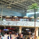 보라보라푸드팰리스 이미지