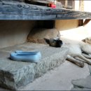 개팔자 상팔자 이미지