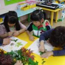 장백유치원 이미지