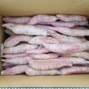 푸른솔 농장 이미지