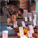 선샤인청과