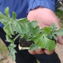 장순농장 이미지