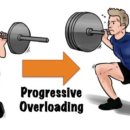 (주)점진 이미지